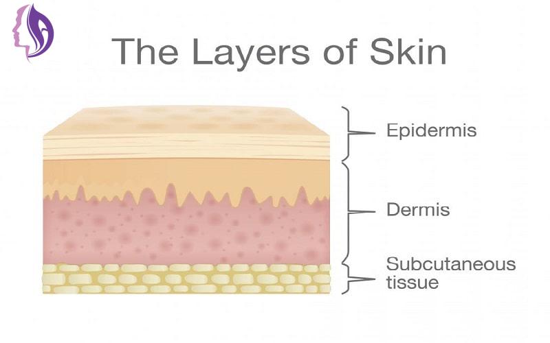 عملکرد پوست در برابر محصولات مراقبتی